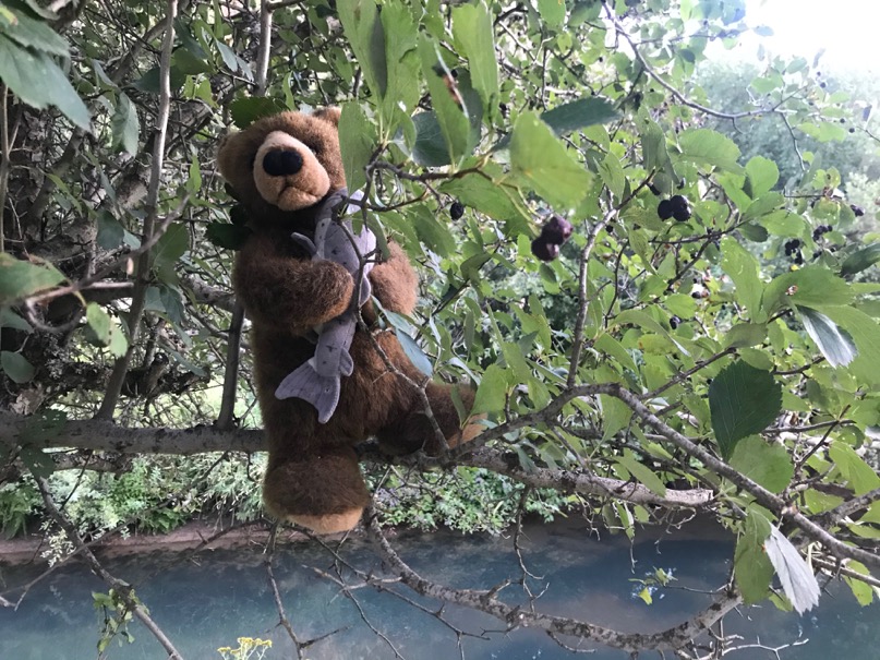 edward bare 2018-08-27